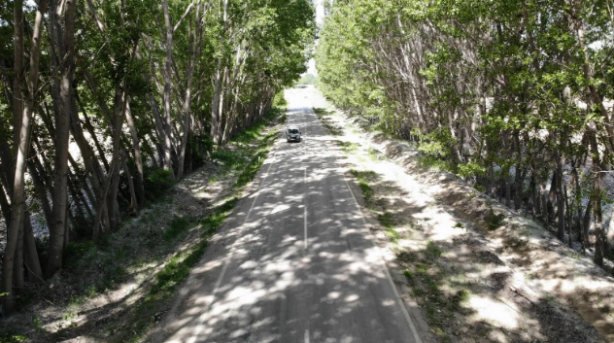 Foto - Bu yolun görünüşüne aldanmayın! İşte oradan geçenleri bekleyen tehlike