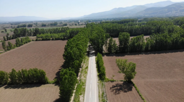 Bu yolun görünüşüne aldanmayın! İşte oradan geçenleri bekleyen tehlike