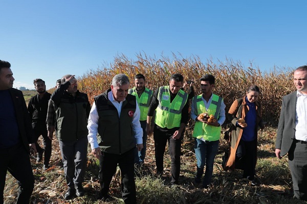 Foto - Bu yöntem verimi arttırdı