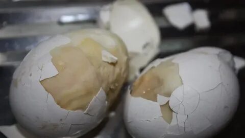 Foto - Bu yöntemi birçok kişi bilmiyor! Bozuk yumurtayı anlamanın püf noktası