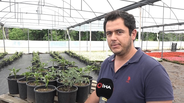 Foto - Bu yöntemle yüzde 50 verim alınıyor