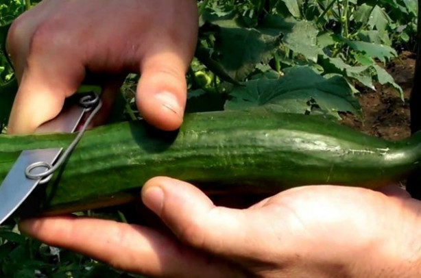 Foto - Bu yöntemler büyük kolaylık sağlıyor!