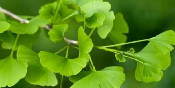 Foto - Bu yöntemlerle en ufak sesleri dahi duyacaksınız