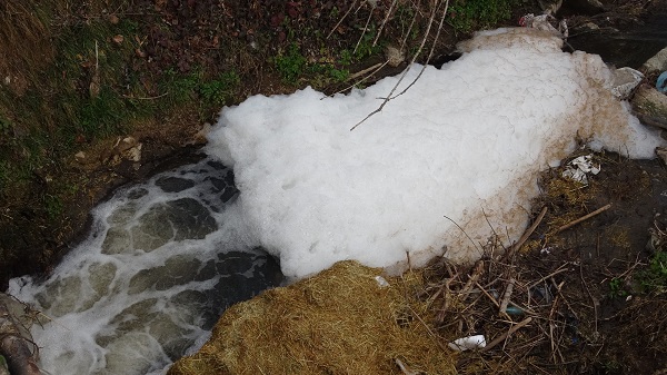 Foto - Bu yüzden ekinler kurudu! Köylüler isyan etti