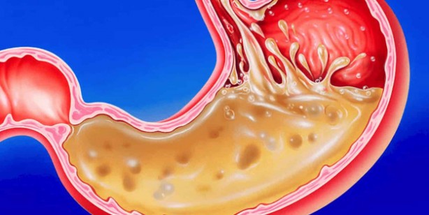Foto - Bu yüzden her gün 1 avuç tüketin! İbn-i Sina'nın 1000 yıllık reçetesi: Protein, liften zengin tek besin!