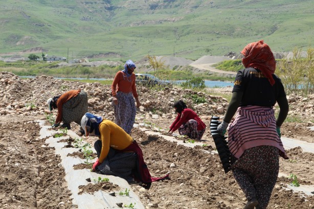 Foto - Bu yüzden Kılıçdaroğlu’nu destekliyorlardı HDP ve PKK’nın hoşuna gitmeyen haber