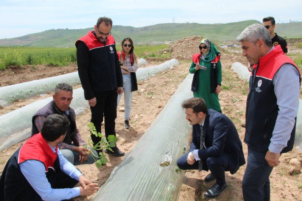 Foto - Bu yüzden Kılıçdaroğlu’nu destekliyorlardı HDP ve PKK’nın hoşuna gitmeyen haber
