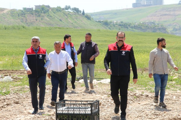 Foto - Bu yüzden Kılıçdaroğlu’nu destekliyorlardı HDP ve PKK’nın hoşuna gitmeyen haber