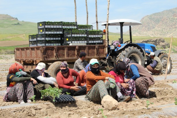 Foto - Bu yüzden Kılıçdaroğlu’nu destekliyorlardı HDP ve PKK’nın hoşuna gitmeyen haber
