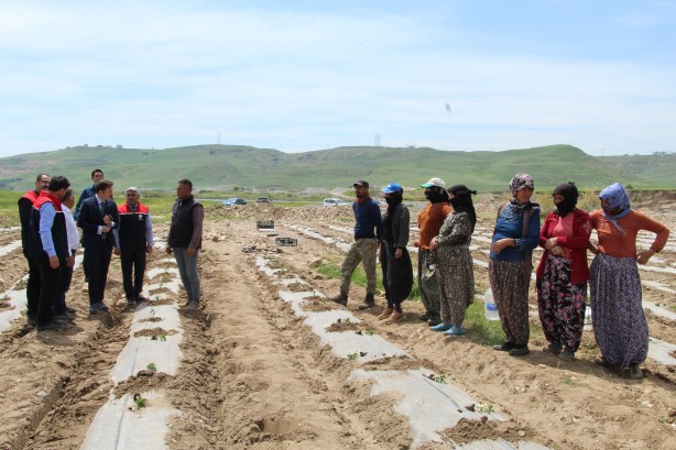 Foto - Bu yüzden Kılıçdaroğlu’nu destekliyorlardı HDP ve PKK’nın hoşuna gitmeyen haber
