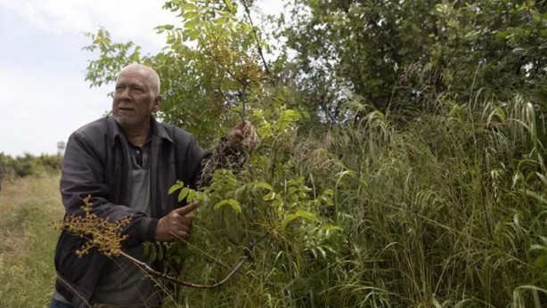 Foto - "Bu zamanda da mağarada mı yaşanır demeyin" Bu adam 15 yıldır mağarada yaşıyor!