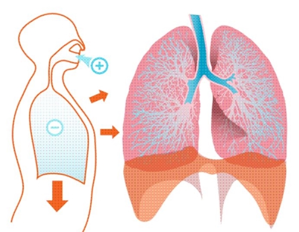 Bu zararları okuduktan sonra ağızdan nefes almayacaksınız!