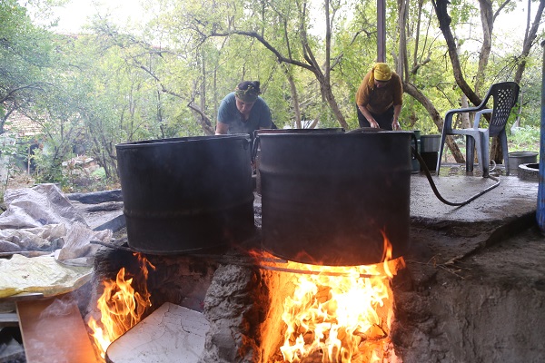 Foto - Bu zeytinyağının tadı bakın neden başka! 