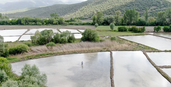 Foto - Bu zorlu mesai Türkiye'nin en iyisini yetiştirmek için
