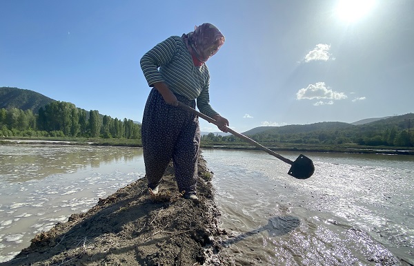 Foto - Bu zorlu mesai Türkiye'nin en iyisini yetiştirmek için