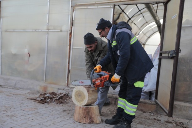 Budanan ağaçlar dar gelirli ailelere yakacak oluyor