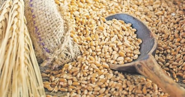Foto - Buğday, arpa alım fiyatlarında yeni müjde: Düşüş sinyali! Türkiye odalar birliği listeleri açıklandı
