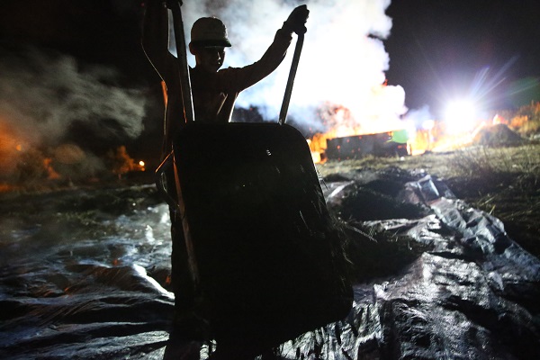 Foto - Buğday başaklarının firiğe dönüşme yolculuğu