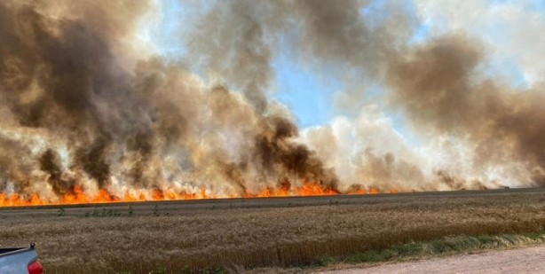 Foto - Buğday tarlaları tek tek yakılıyor! Koca arazi kül oldu