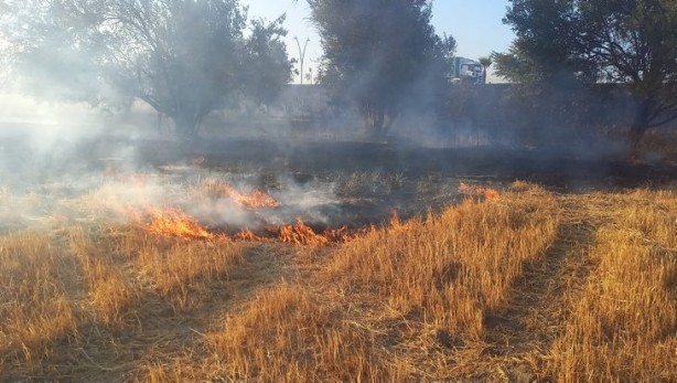 Foto - Buğday tarlaları tek tek yakılıyor! Koca arazi kül oldu