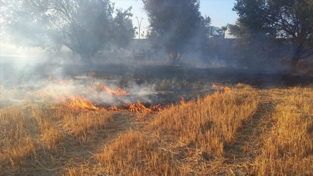 Buğday tarlalarında esrarengiz yangınlar: 15 dakikada küle döndü