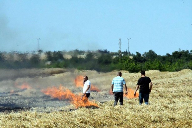 Foto - Buğday tarlalarında esrarengiz yangınlar: 15 dakikada küle döndü