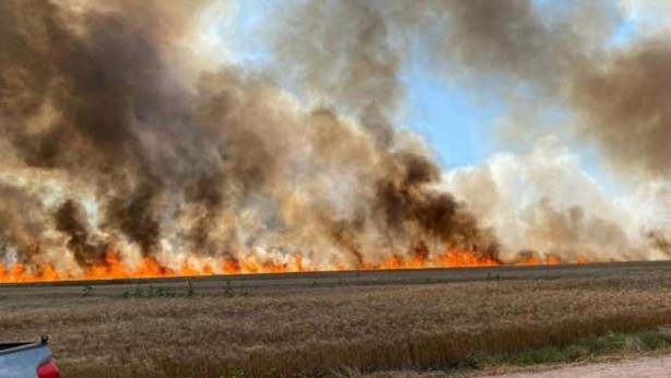 Foto - Buğday tarlalarında esrarengiz yangınlar: 15 dakikada küle döndü