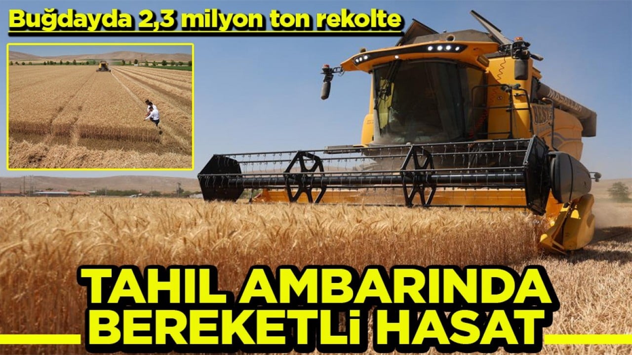 Buğdayda 2,3 milyon ton rekolte Türkiye'nin tahıl ambarında bereketli hasat