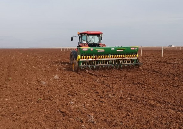 Foto - Buğdayda verimi patlatacak tavsiyeler