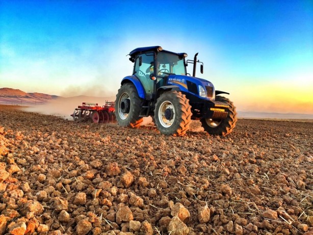 Buğdayda verimi patlatacak tavsiyeler
