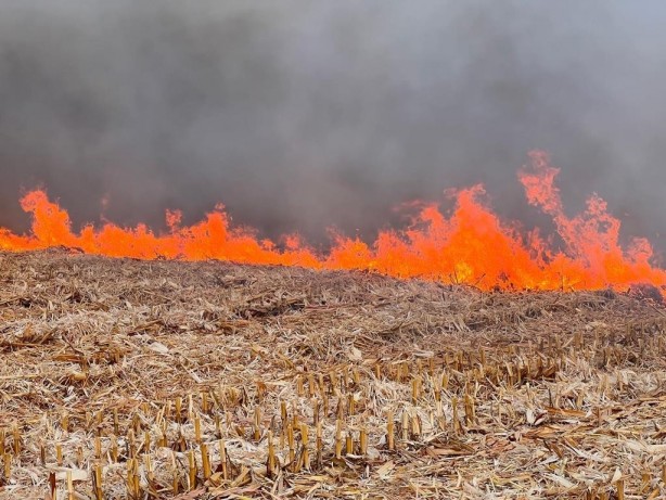 Foto - Buğdayda verimi patlatacak tavsiyeler