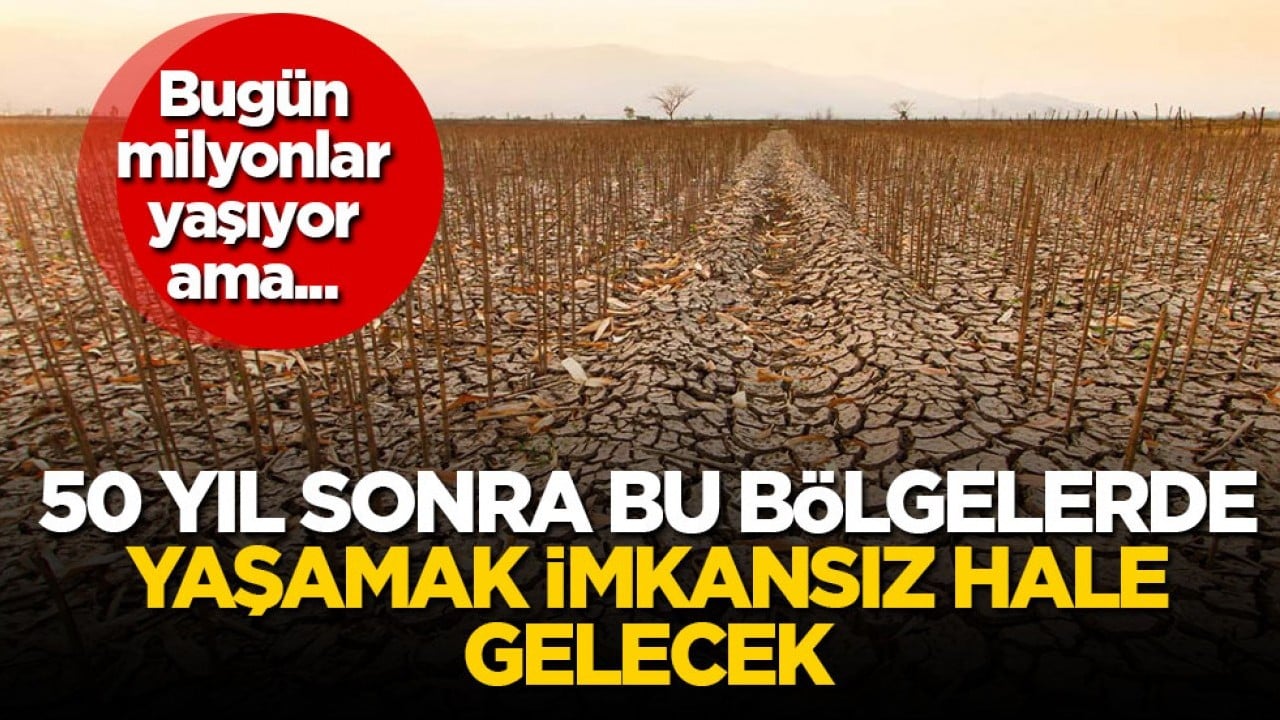 Bugün milyonlar yaşıyor ama... 50 yıl sonra bu bölgelerde yaşamak imkansız hale gelecek