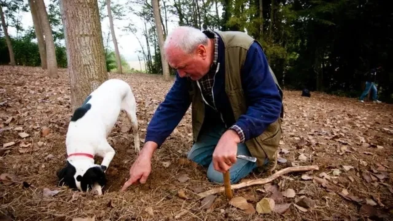 Bulan köşeyi dönüyor! Türkiye’de bilmeyenlerin çöpe attığı “siyah elmas”, resmen zengin ediyor
