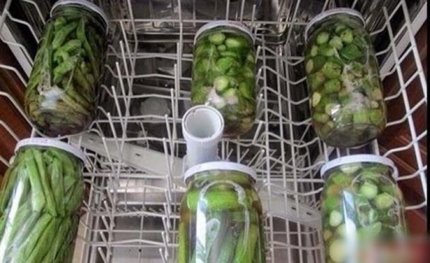 Foto - Bulaşık makinesinde turşu nasıl yapılır? Sonuca inanamayacaksınız