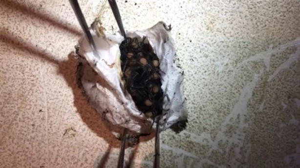 Foto - Bulduğu kesenin içindekiler hayrete düşürdü