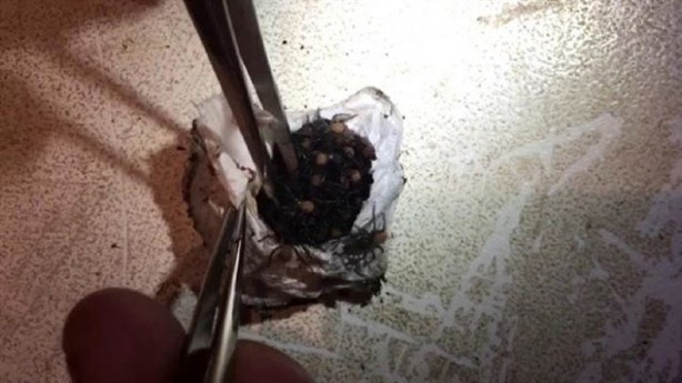 Foto - Bulduğu kesenin içindekiler hayrete düşürdü