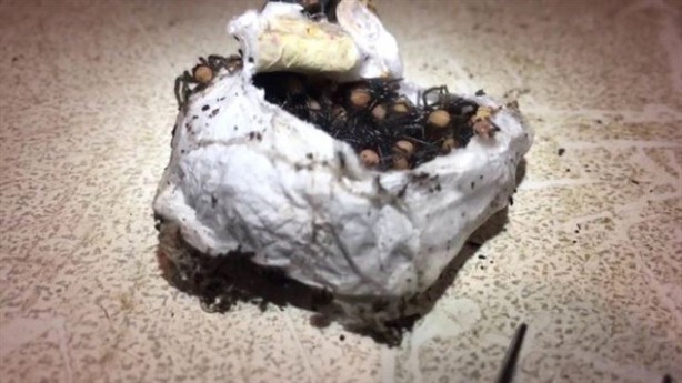 Foto - Bulduğu kesenin içindekiler hayrete düşürdü