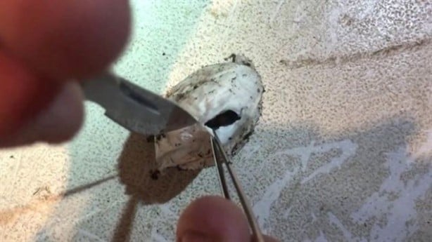 Bulduğu kesenin içindekiler hayrete düşürdü