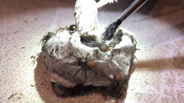 Foto - Bulduğu kesenin içindekiler hayrete düşürdü