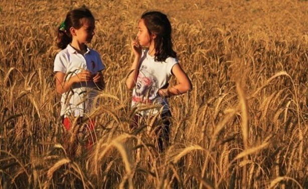 Foto - Bulgur çocuklar için öyle faydalı ki!