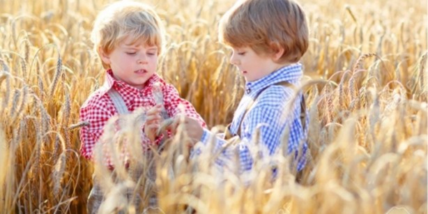 Foto - Bulgur çocuklar için öyle faydalı ki!