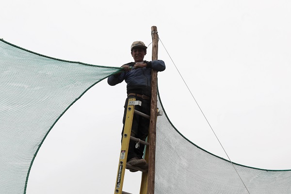 Foto - Bulutlar böyle suya dönüştürülüyor