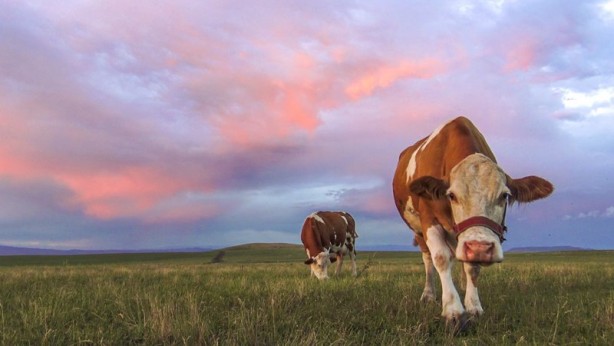 Foto - Bulutlar kızıla boyandı!