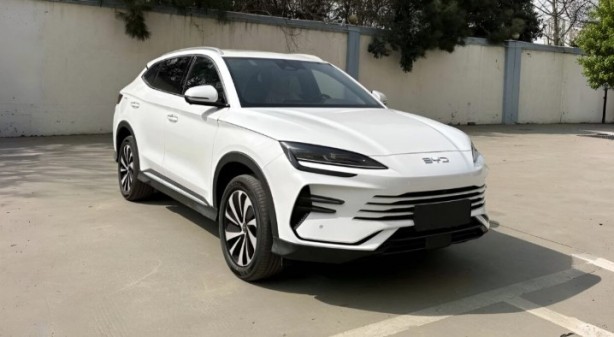 Foto - Bundan sonra birlikte yapacaklar: BYD Türkiye'ye daha gelmeden bombayı patlattı!