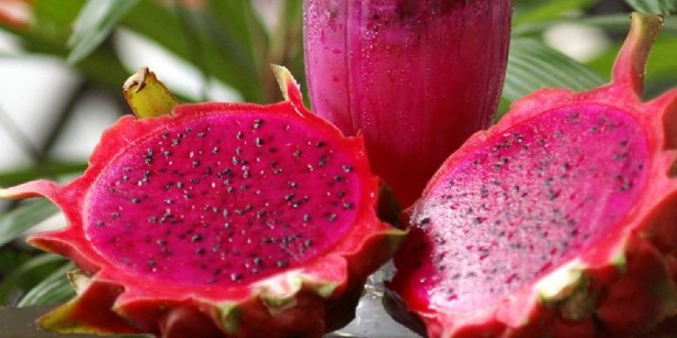 Foto - Bundan yiyen, zıpkın gibi, dipçik gibi oluyor! Resmen vitamin deposu! İlacı ve hastaneyi unutacaksınız