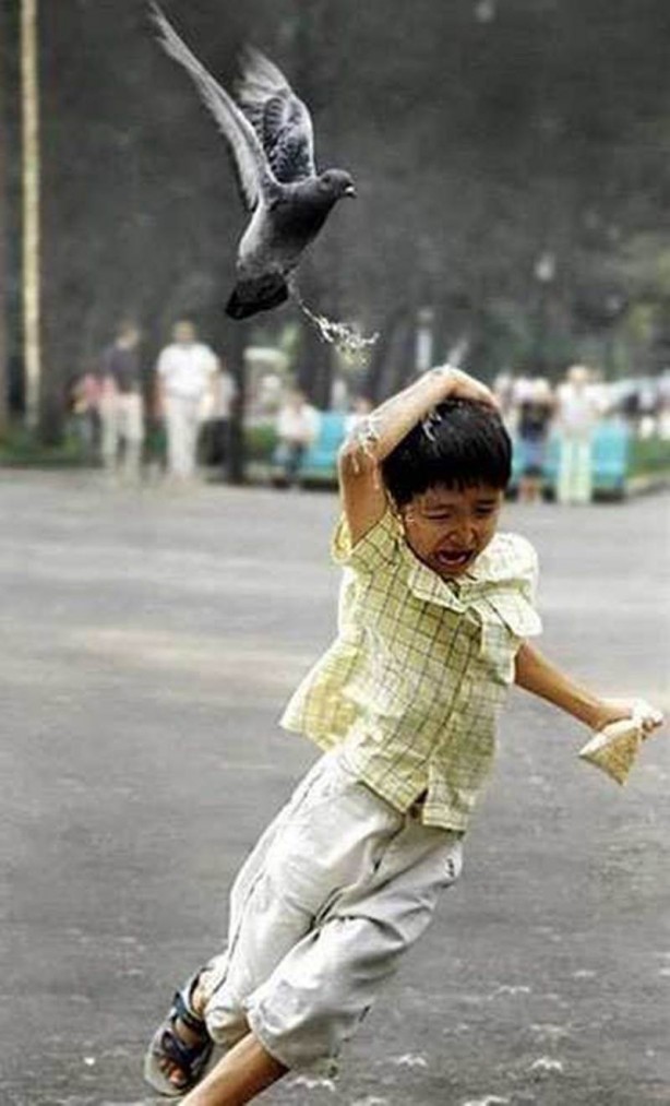 Foto - Bunlar ancak bizde olur!