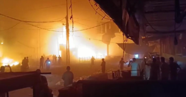 Foto - Bunlar tam bir ehlileştirilmiş şapşal! Yuh artık be