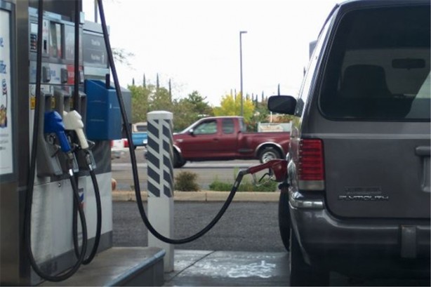 Foto - Bunlardan korkmayın!