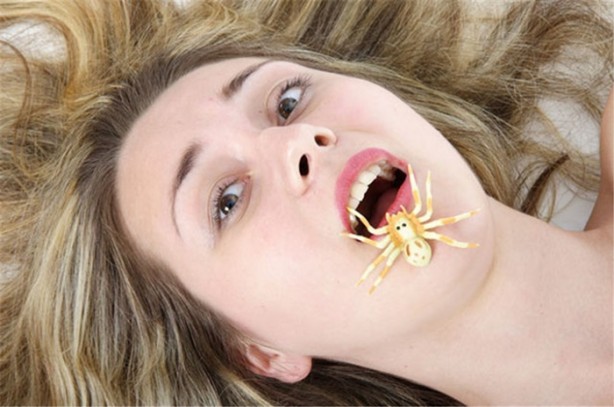 Foto - Bunlardan korkmayın!