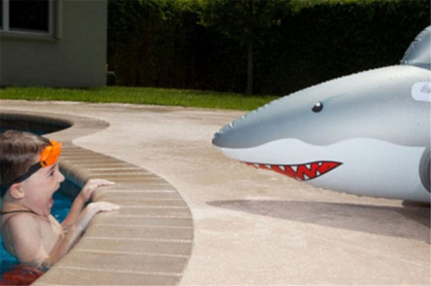 Foto - Bunlardan korkmayın!